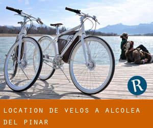 Location de Vélos à Alcolea del Pinar