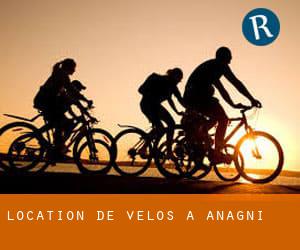 Location de Vélos à Anagni