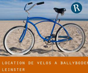 Location de Vélos à Ballyboden (Leinster)