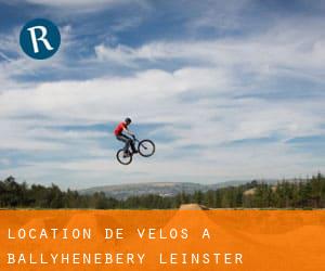 Location de Vélos à Ballyhenebery (Leinster)