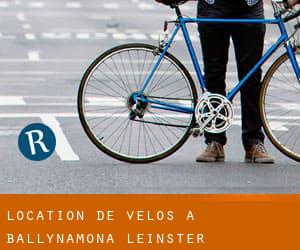 Location de Vélos à Ballynamona (Leinster)