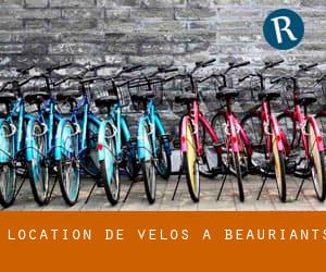 Location de Vélos à Beauriants