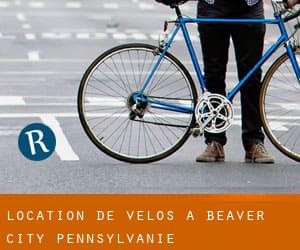 Location de Vélos à Beaver City (Pennsylvanie)