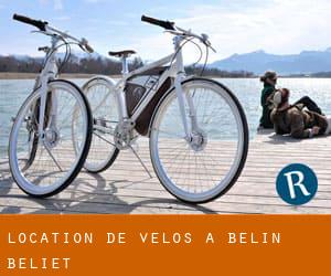 Location de Vélos à Belin-Béliet