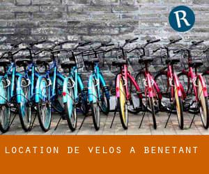 Location de Vélos à Bénétant