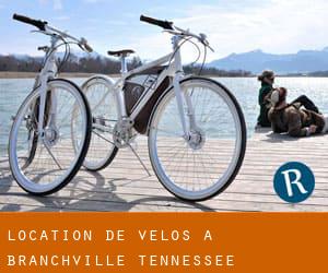 Location de Vélos à Branchville (Tennessee)