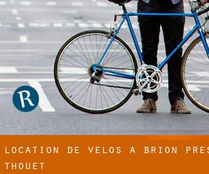Location de Vélos à Brion-près-Thouet