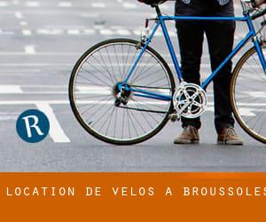 Location de Vélos à Broussoles