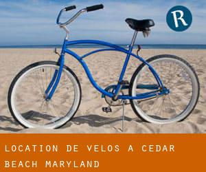 Location de Vélos à Cedar Beach (Maryland)