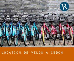 Location de Vélos à Cedon