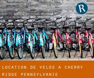 Location de Vélos à Cherry Ridge (Pennsylvanie)