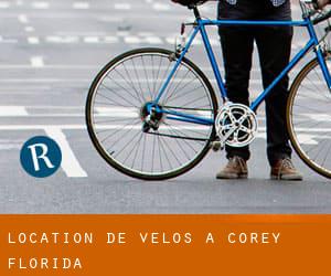 Location de Vélos à Corey (Florida)