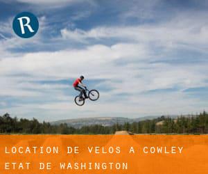 Location de Vélos à Cowley (État de Washington)