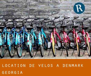 Location de Vélos à Denmark (Georgia)