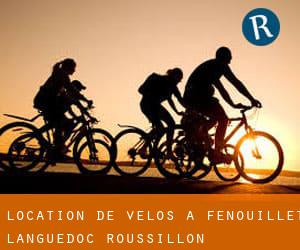 Location de Vélos à Fenouillet (Languedoc-Roussillon)