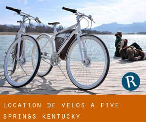 Location de Vélos à Five Springs (Kentucky)