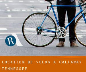 Location de Vélos à Gallaway (Tennessee)