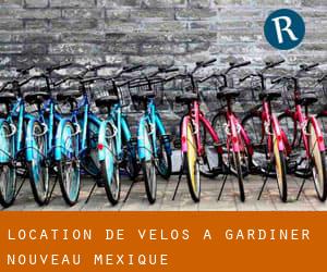 Location de Vélos à Gardiner (Nouveau-Mexique)