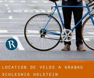 Location de Vélos à Grabau (Schleswig-Holstein)