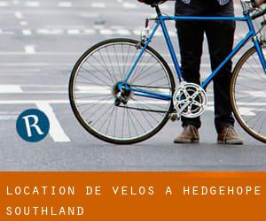 Location de Vélos à Hedgehope (Southland)