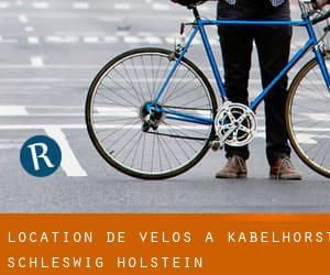 Location de Vélos à Kabelhorst (Schleswig-Holstein)