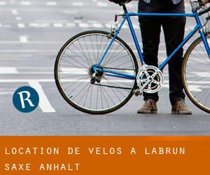 Location de Vélos à Labrun (Saxe-Anhalt)