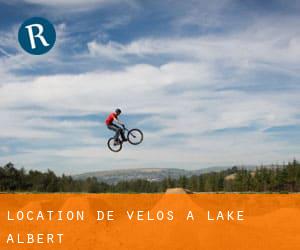 Location de Vélos à Lake Albert