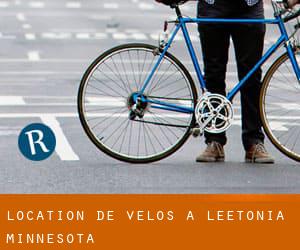 Location de Vélos à Leetonia (Minnesota)