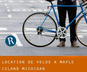 Location de Vélos à Maple Island (Michigan)
