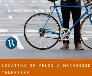 Location de Vélos à Meadowood (Tennessee)