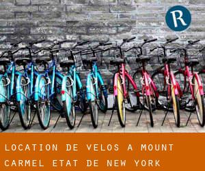 Location de Vélos à Mount Carmel (État de New York)