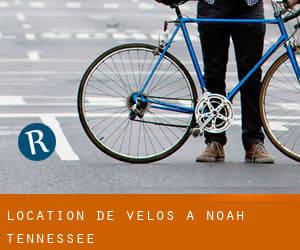 Location de Vélos à Noah (Tennessee)
