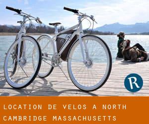 Location de Vélos à North Cambridge (Massachusetts)