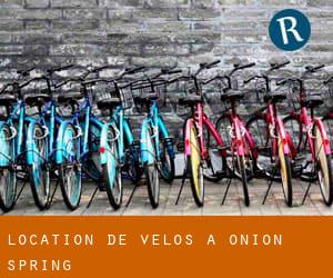 Location de Vélos à Onion Spring