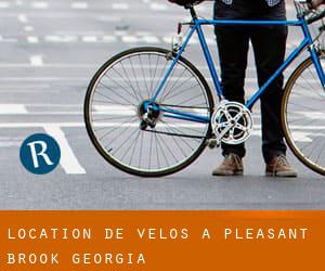 Location de Vélos à Pleasant Brook (Georgia)