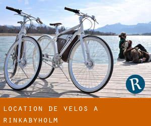 Location de Vélos à Rinkabyholm