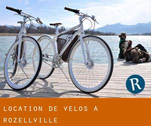 Location de Vélos à Rozellville
