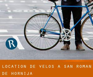 Location de Vélos à San Román de Hornija