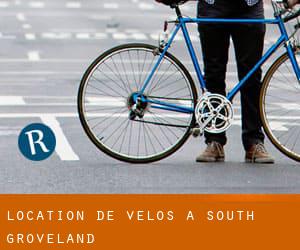 Location de Vélos à South Groveland