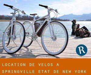Location de Vélos à Springville (État de New York)