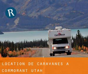 Location de Caravanes à Cormorant (Utah)