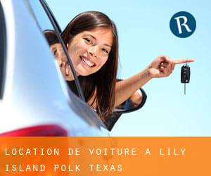 location de voiture à Lily Island (Polk, Texas)